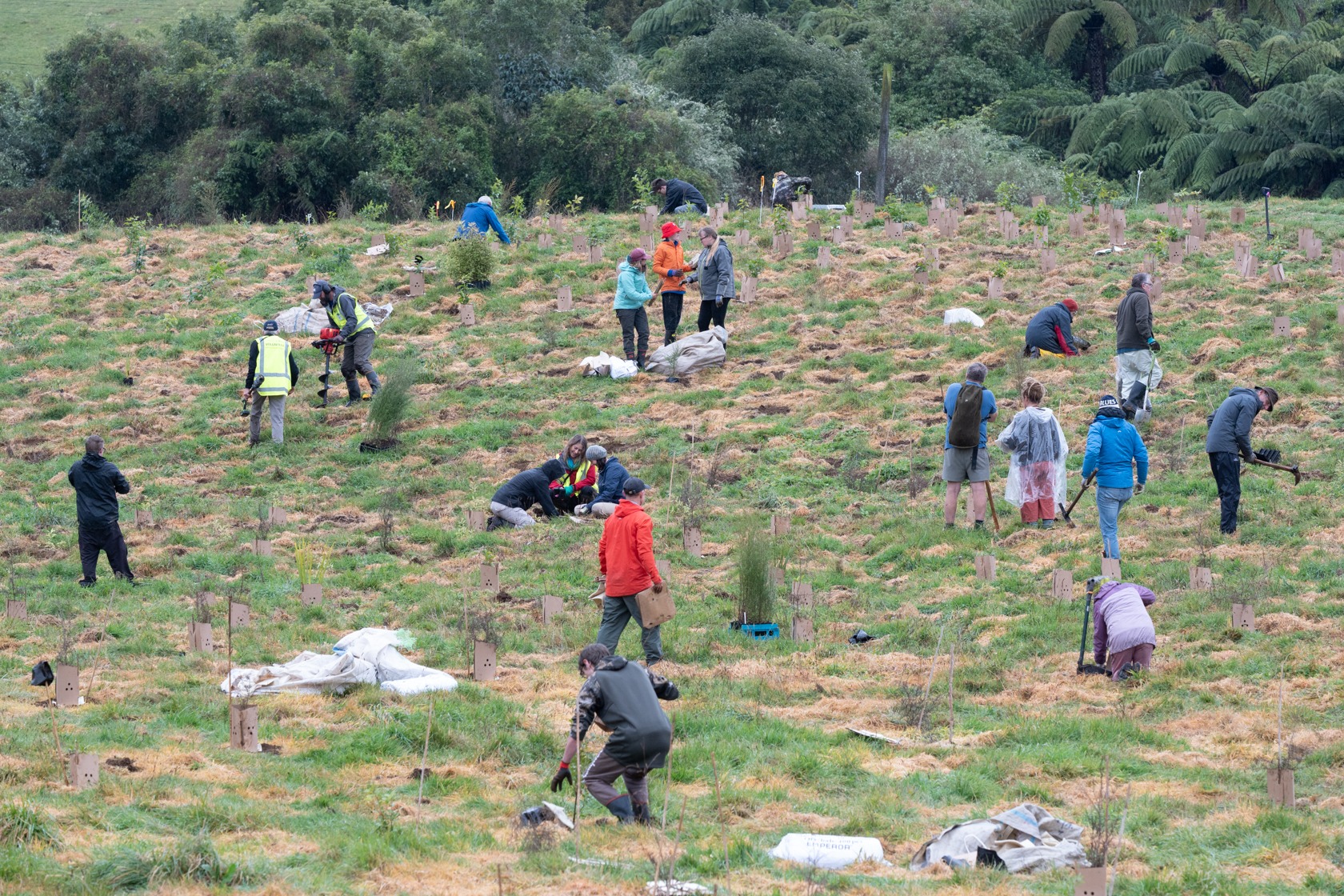 Biodiversity Project 2