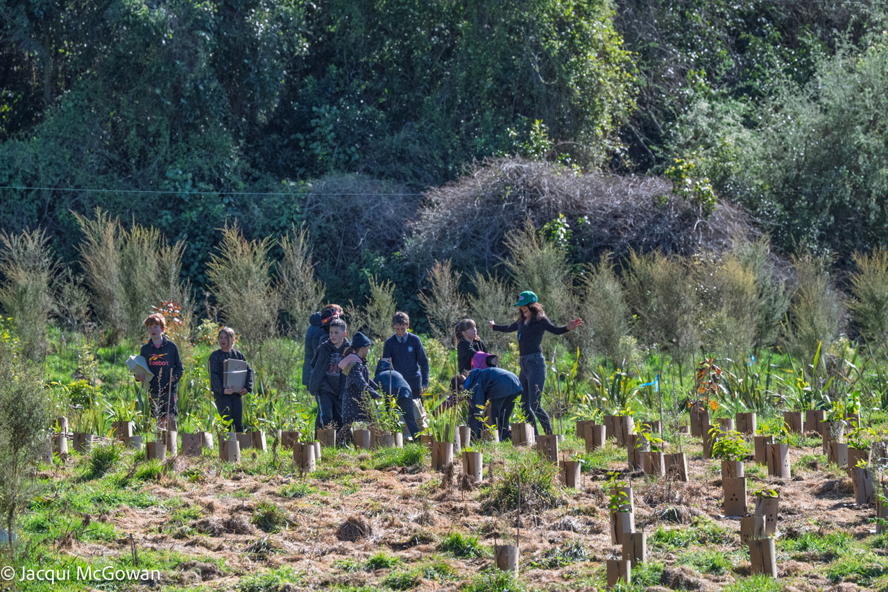 Biodiversity Project 3