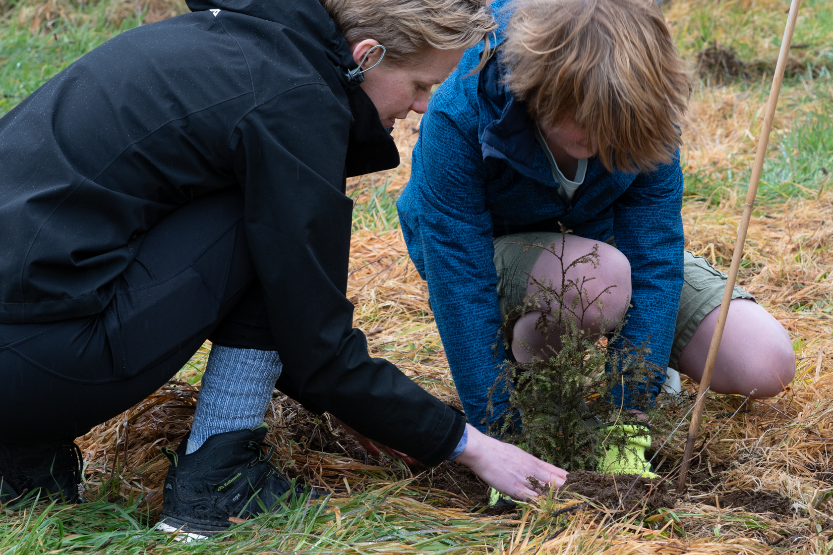 Biodiversity Project 4